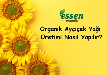 Organik Ayçiçek Yağı Üretimi Nasıl Yapılır?