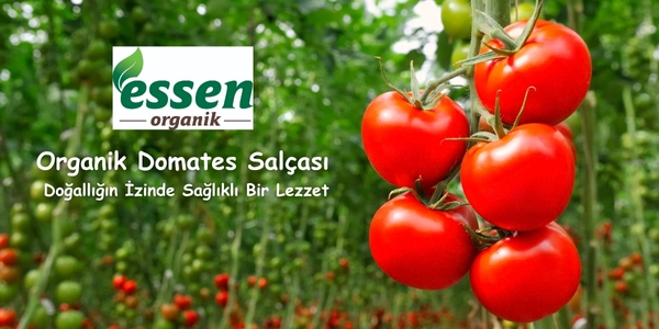Organik Domates Salçası Hakkında